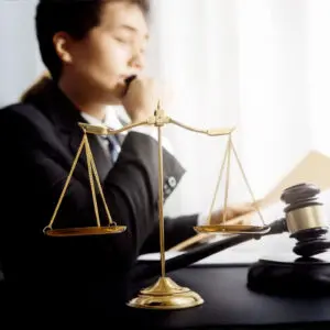 LegalEYE® PRO